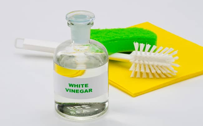 White vinegar for a home remedy used against sugar ants in your home