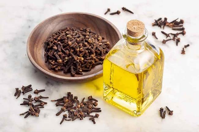 clove oil for tooth pain