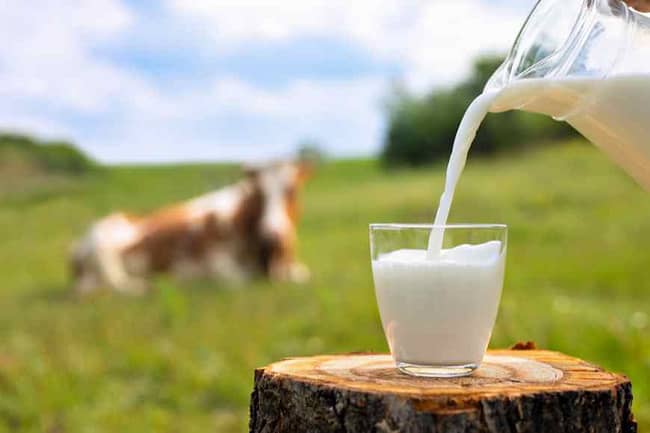 milk for food poisoning treatment